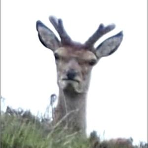 Meet your Posher, Soledad